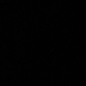 Meet your Posher, Lola